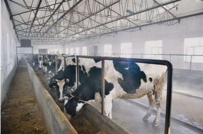 黑龍江齊齊哈爾富?？h光明乳業 一拖三加一 恒壓供水設備